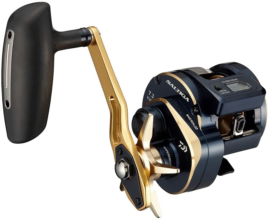 DAIWA 21 Saltiga IC 300H-SJ Baitcasting Reel