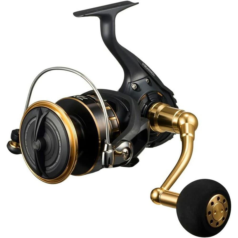 Daiwa 23 BG SW 10000-H