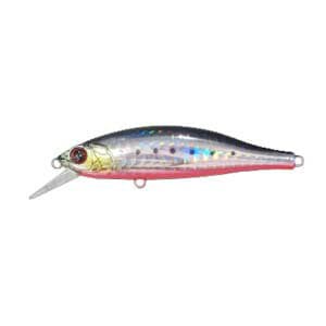 Maria Tight Slalom 80 S01H Iwashi