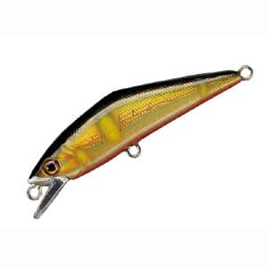 Smith D-Contact 72mm G Ayu 24