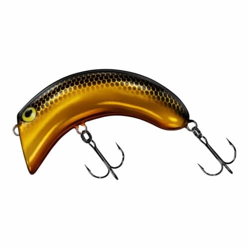 Daiwa Cashew Nut Black Gold