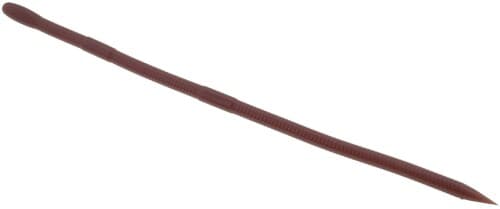 Bait Breath Vein Slim 8 inch #734 Lombrico