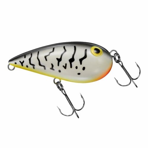 Daiwa Almond White Coach Dog