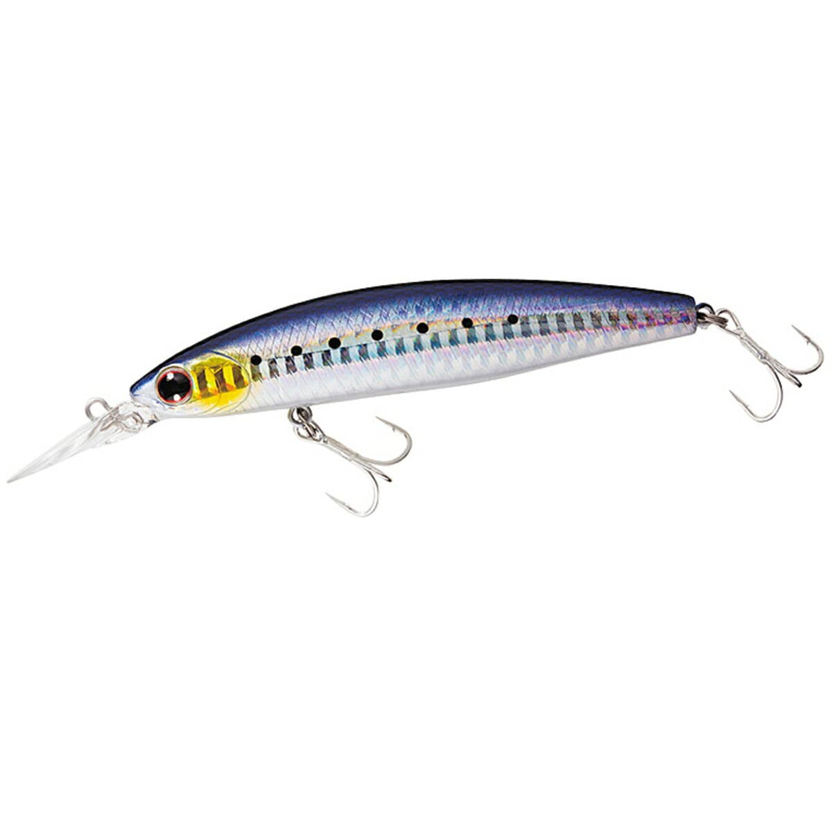 Daiwa Shoreline Shiner-Z Set Upper 145S-DR Laser Sardine