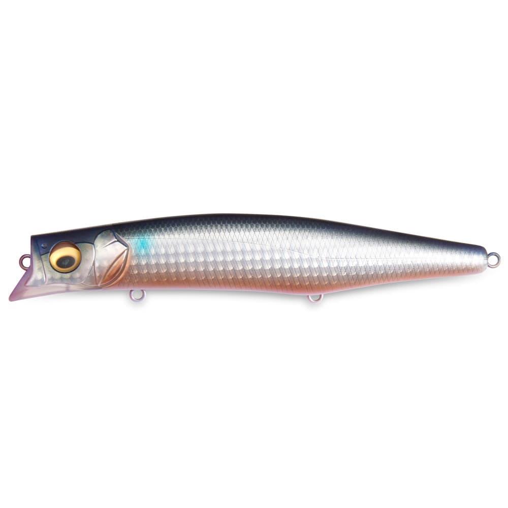 Megabass Seabass Lure Kagelou MD 156F Secret Dead Sticking