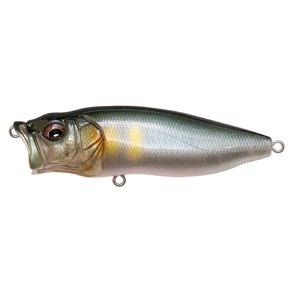 Megabass Popmax FA Young Ayu