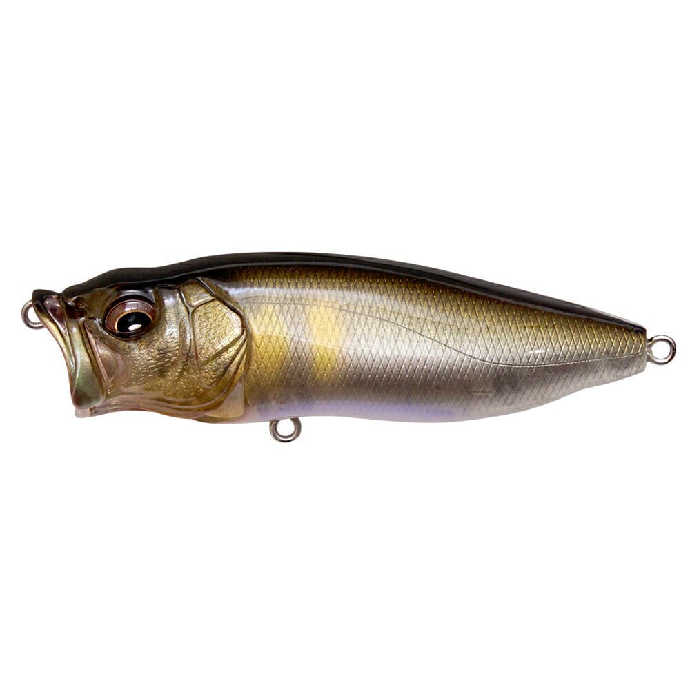 Megabass POP-Max FA Rapid Ayu