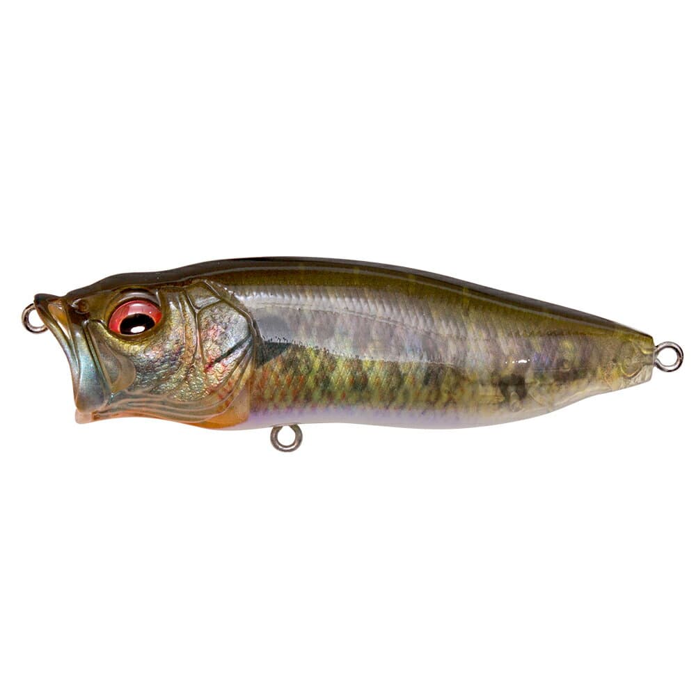 Megabass Popmax FA Gill