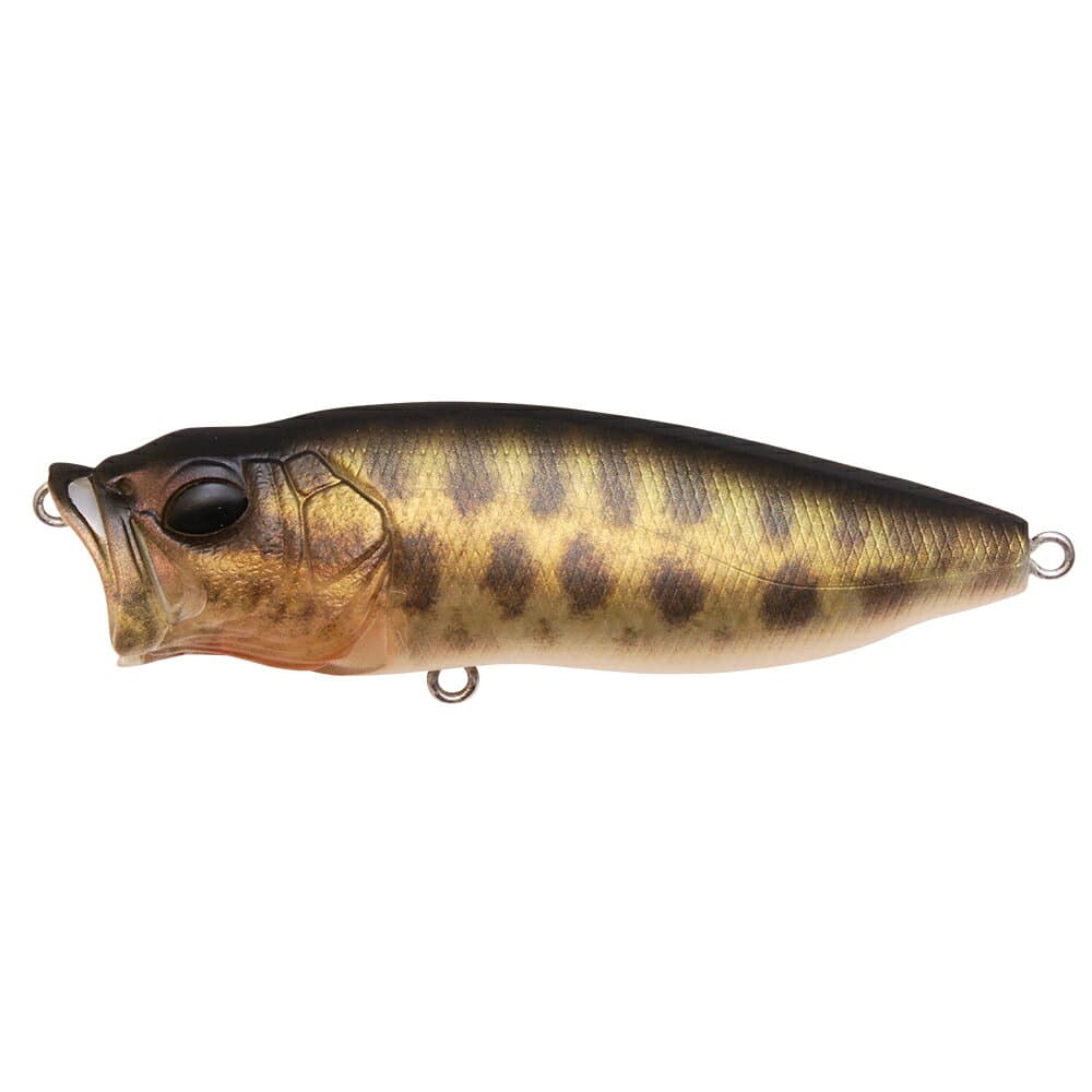 Megabass Pop Max FA Baby Raigyo