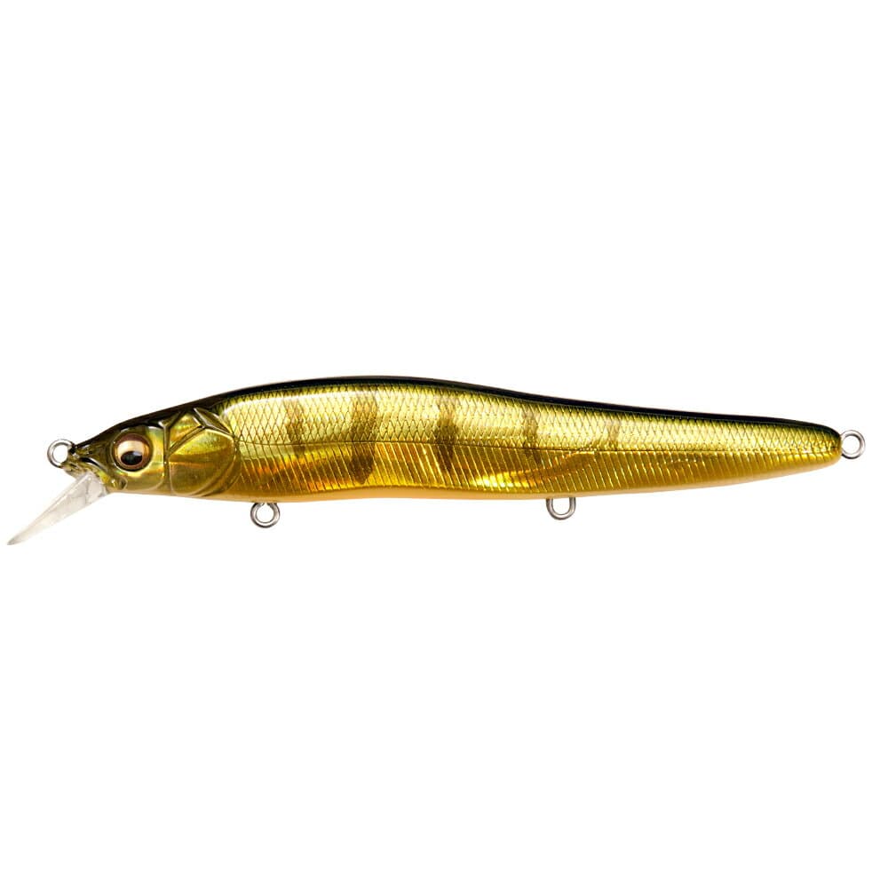 Megabass Oneten R Hi Float GG Perch OB