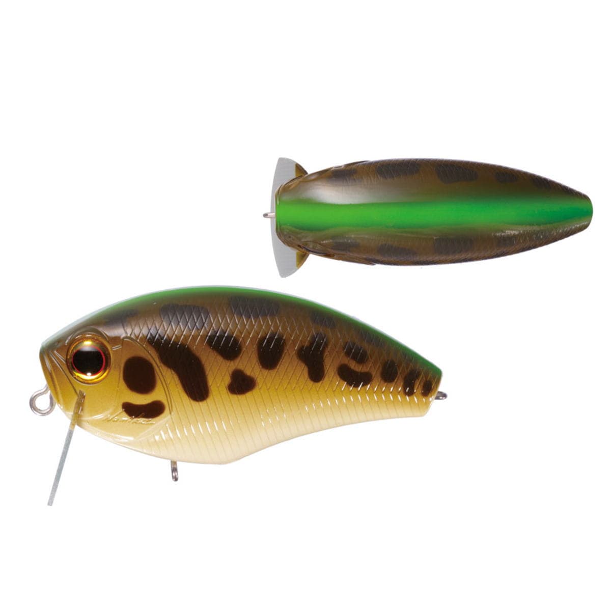 OSP Daibuzzn' Heavy Hitter PP56 Tonosama Frog