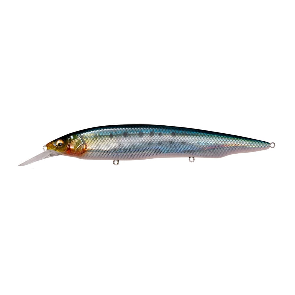 Megabass Kanata+1 SW FA Sardine