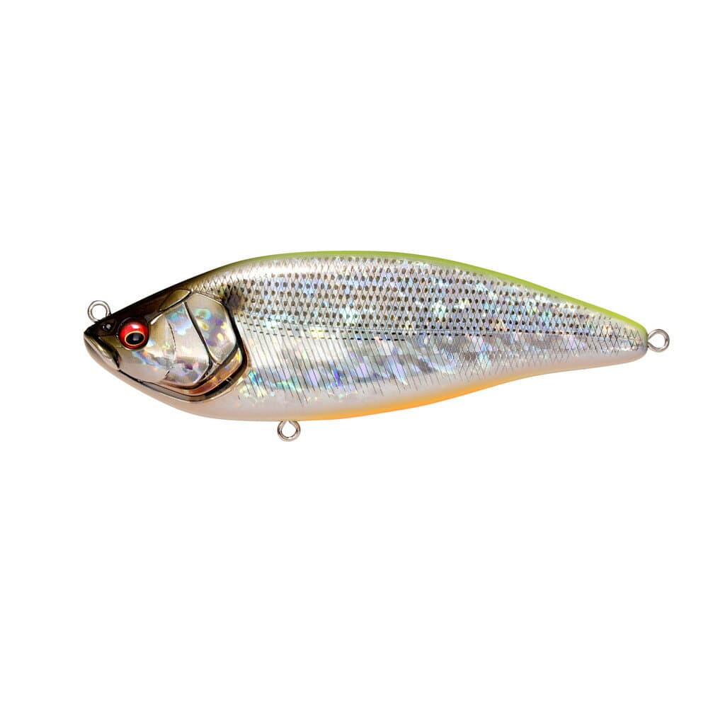 Megabass Konoshirus Swimmer F GG Chartback Conoshiro