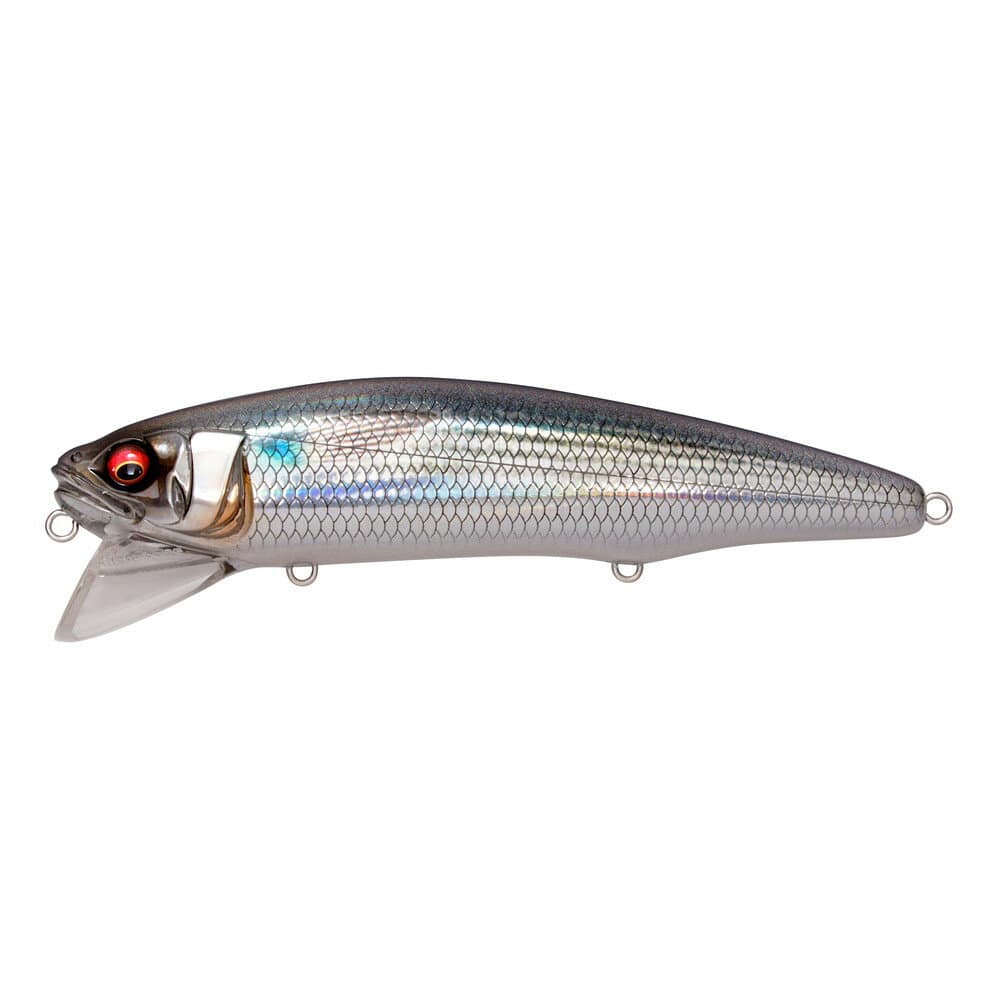Megabass Seabass Lure Sazanka 140F Silver Bora