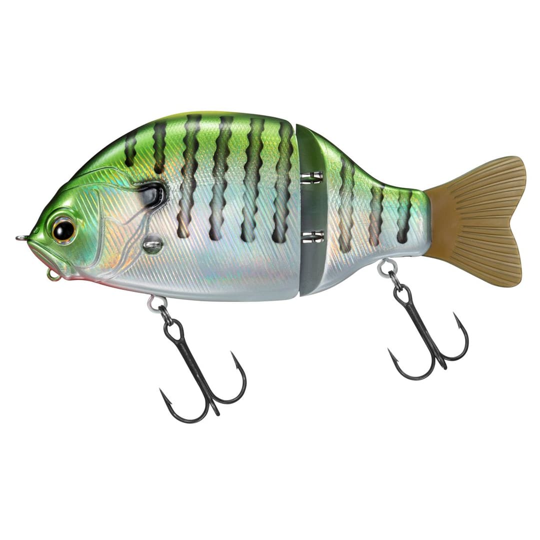 Daiwa Gradical 147F Adele Green Gill
