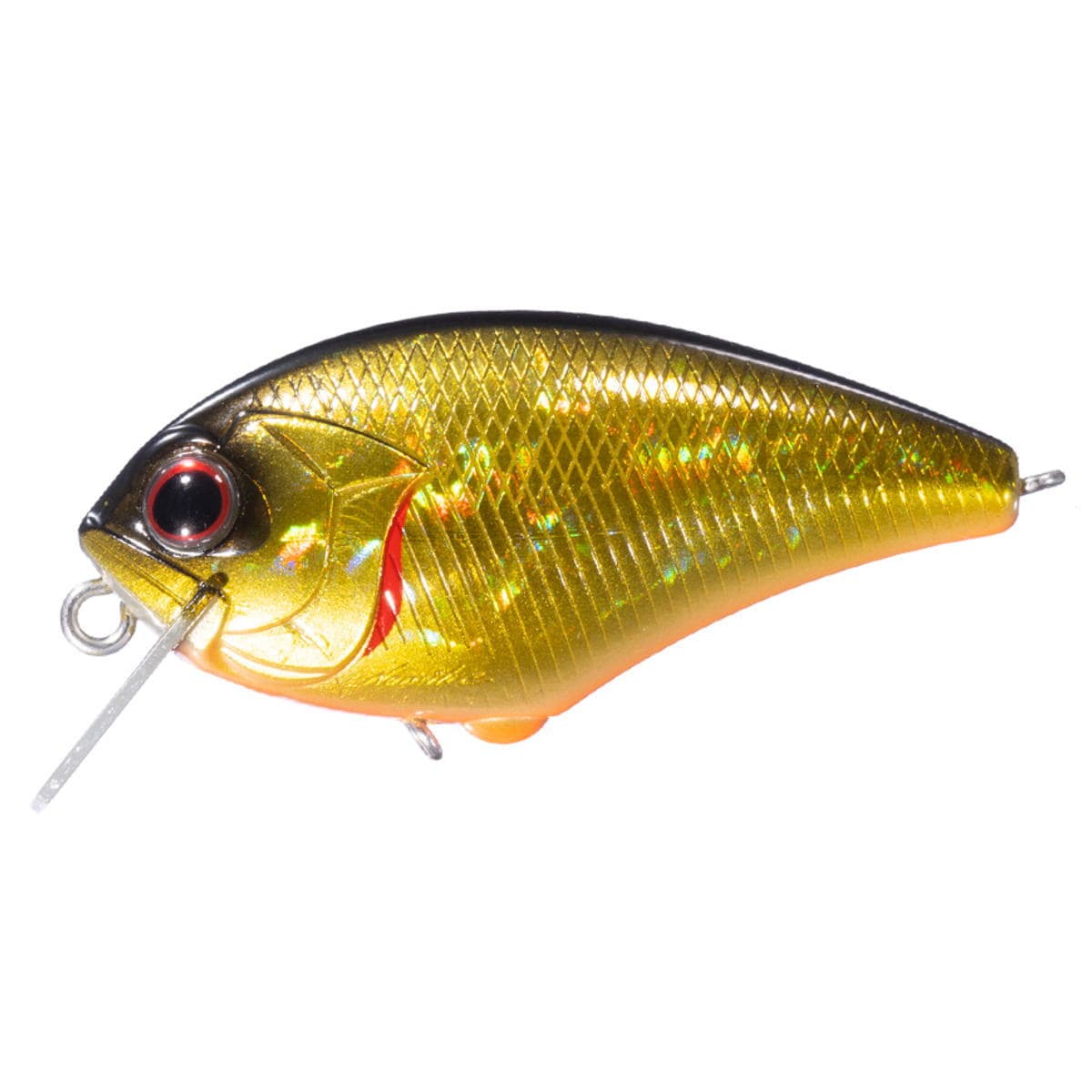 OSP Blitz SSR H04 Black Gold Orange Berry
