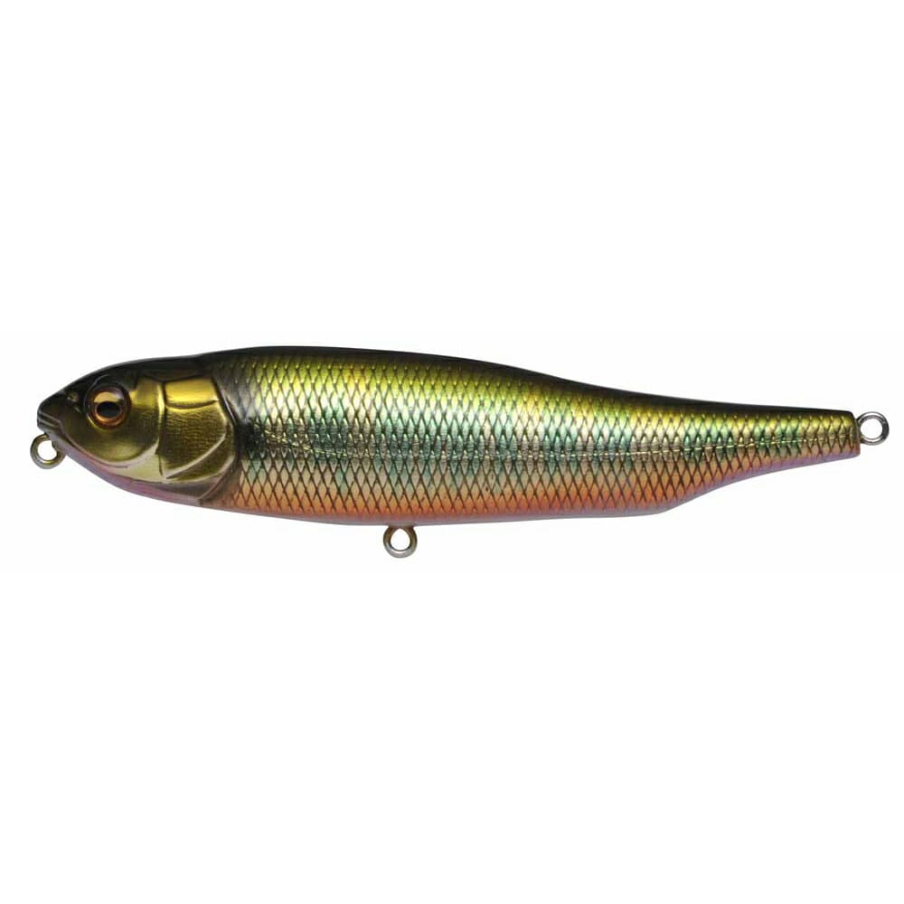 Megabass Giant Dog-X 和銀オイカワ