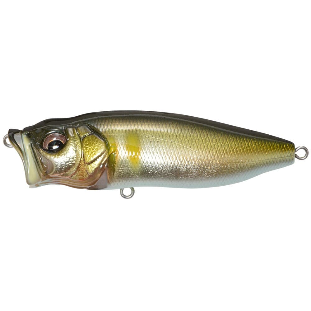 Megabass POPMAX Takumi Seochi Ayu