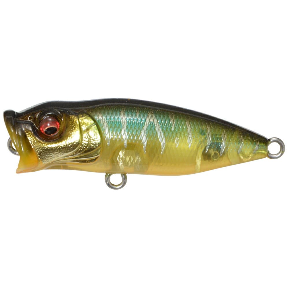 Megabass Baby POP-X Gin and Tonic Tiger