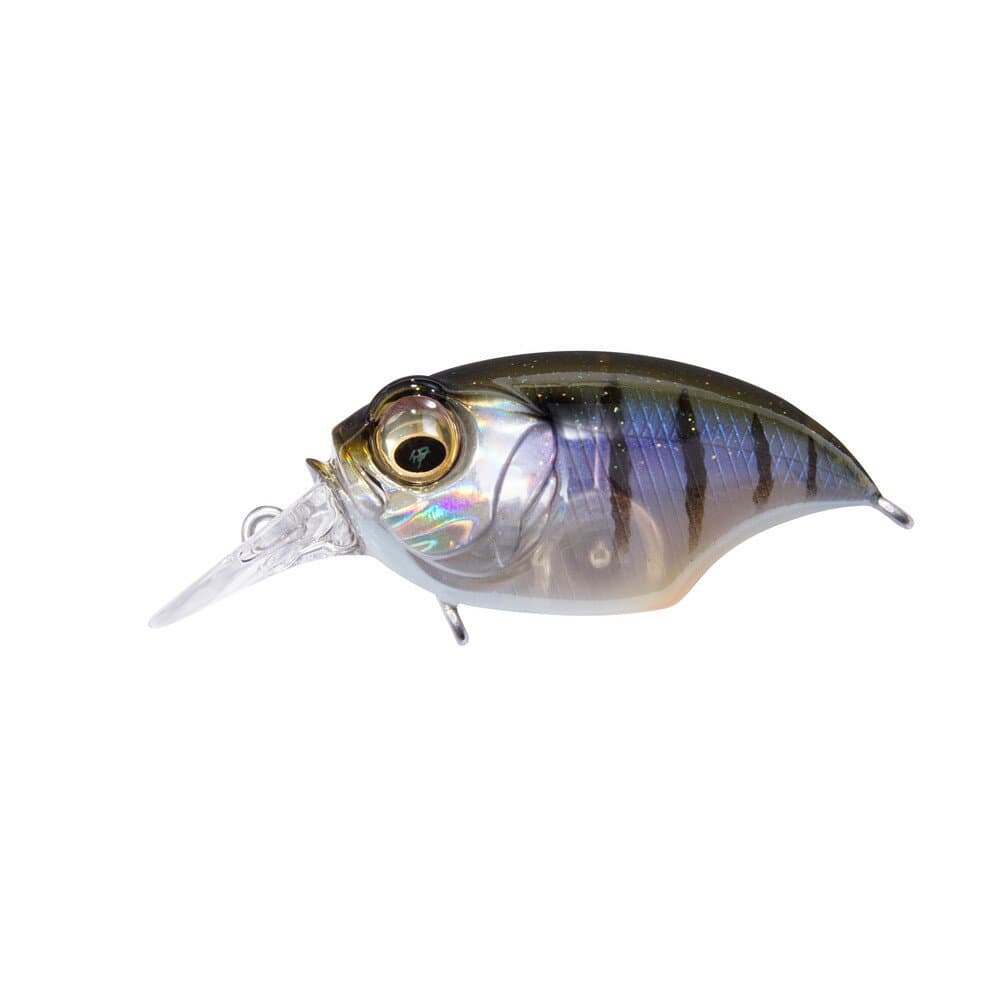 Megabass SR-X Griffon