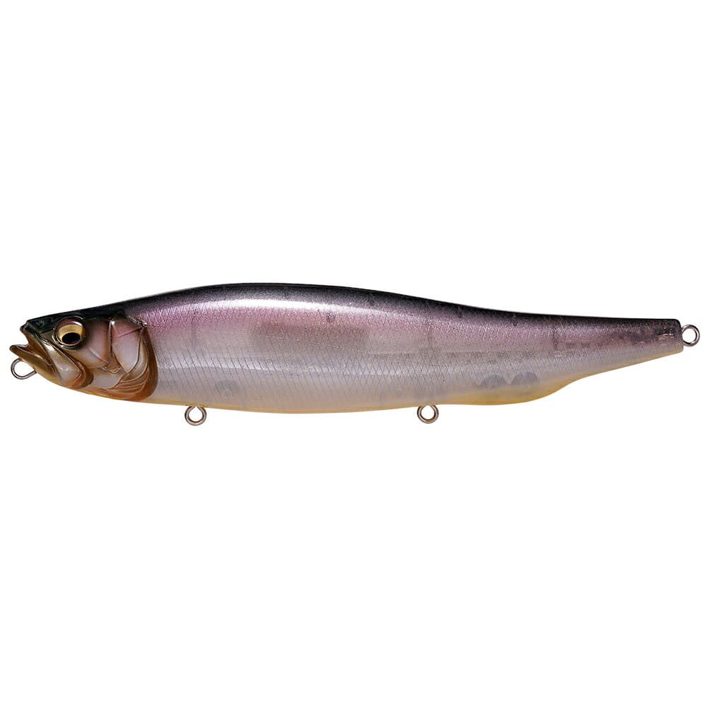 Megabass Megadog Shintaro Natural