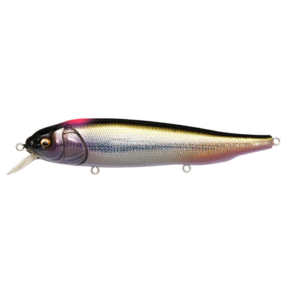Megabass Lates Feeding Woofer #DD Indicator Shiner