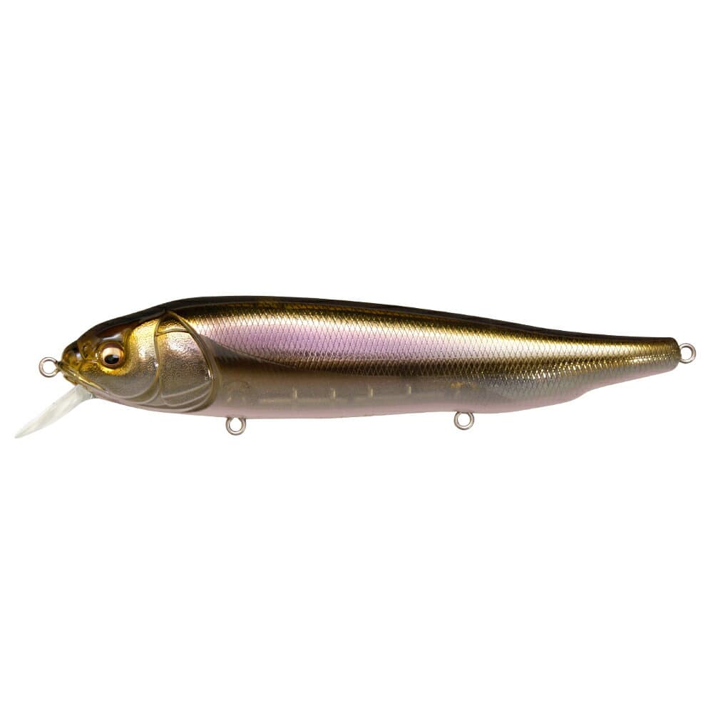 Megabass Lates Feeding Woofer HT Wakasagi