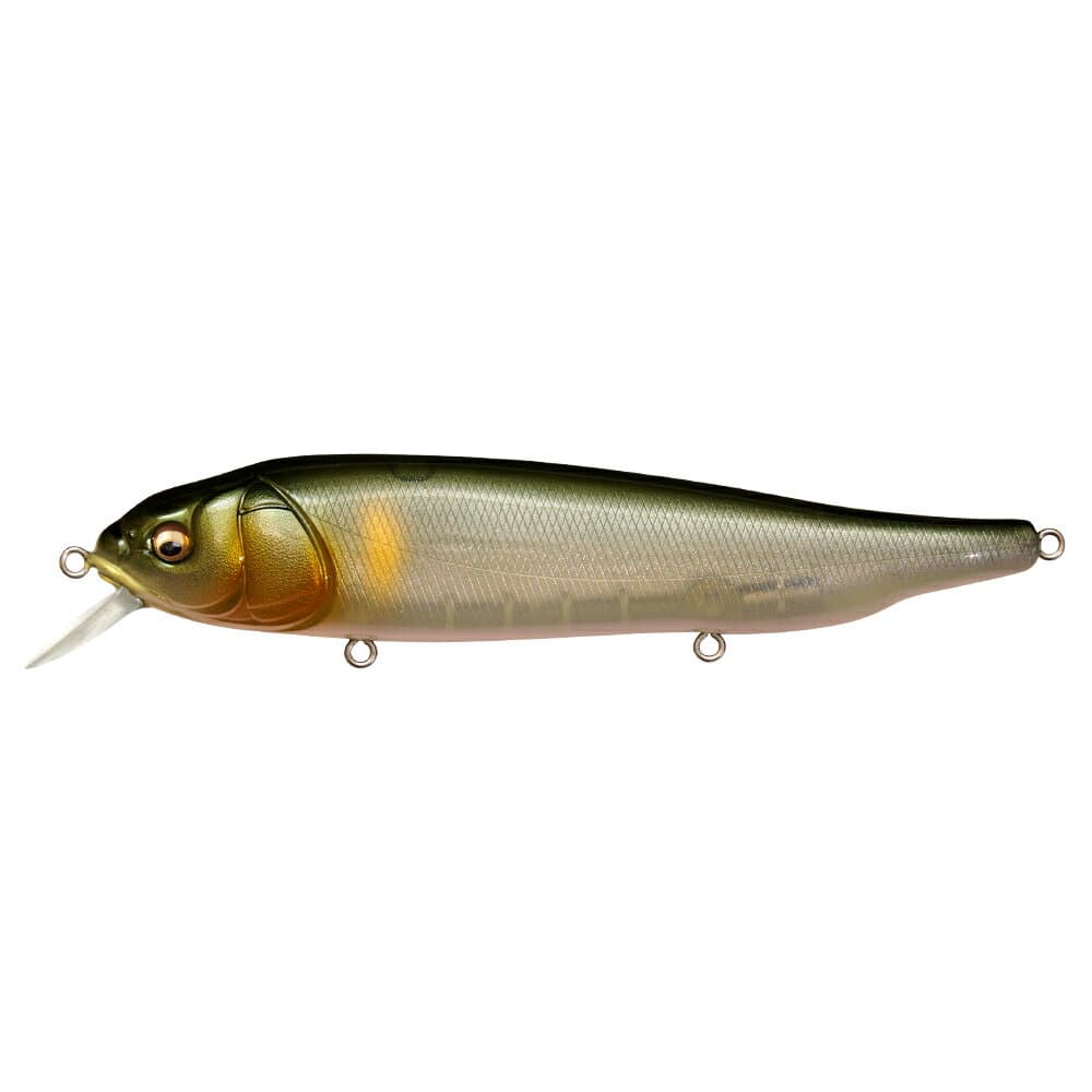 Megabass Lates Feeding Woofer #PM Waka Ayu
