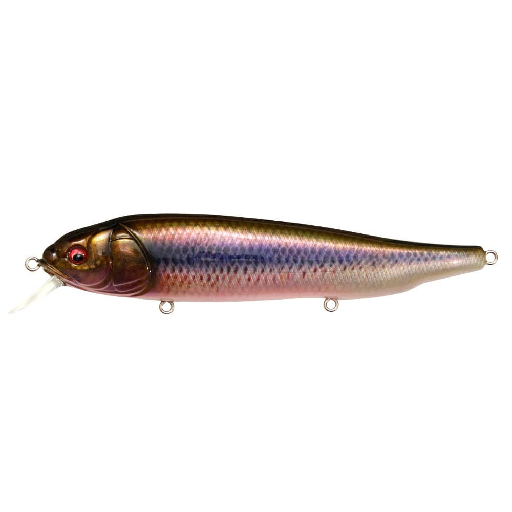 Megabass Lates Feeding Woofer FA Kawamutsu