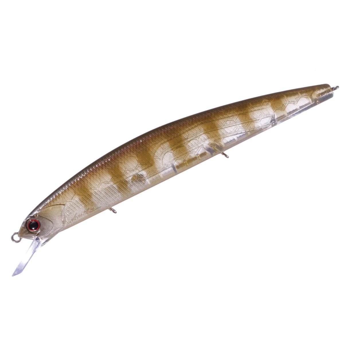 OSP Rudra MSF T16 Young Gill