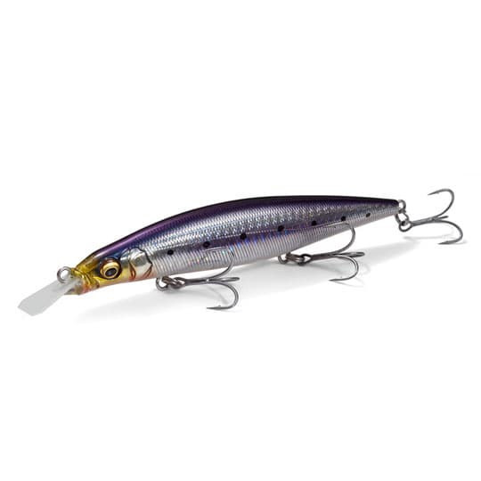 Megabass Seabass Lure Cookai Bring 130S GG Sardine