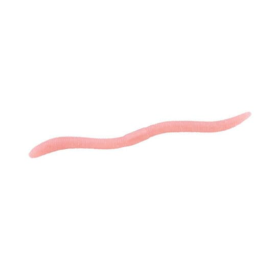 Jackall Flick Shake 500 3.8 inch