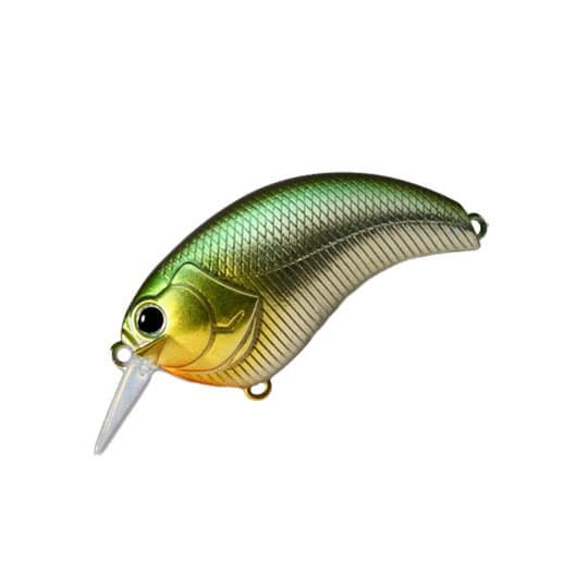 Deps Evoke 1.8