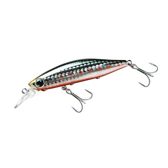 Daiwa Morethan Bay Soul Minnow 73S DR