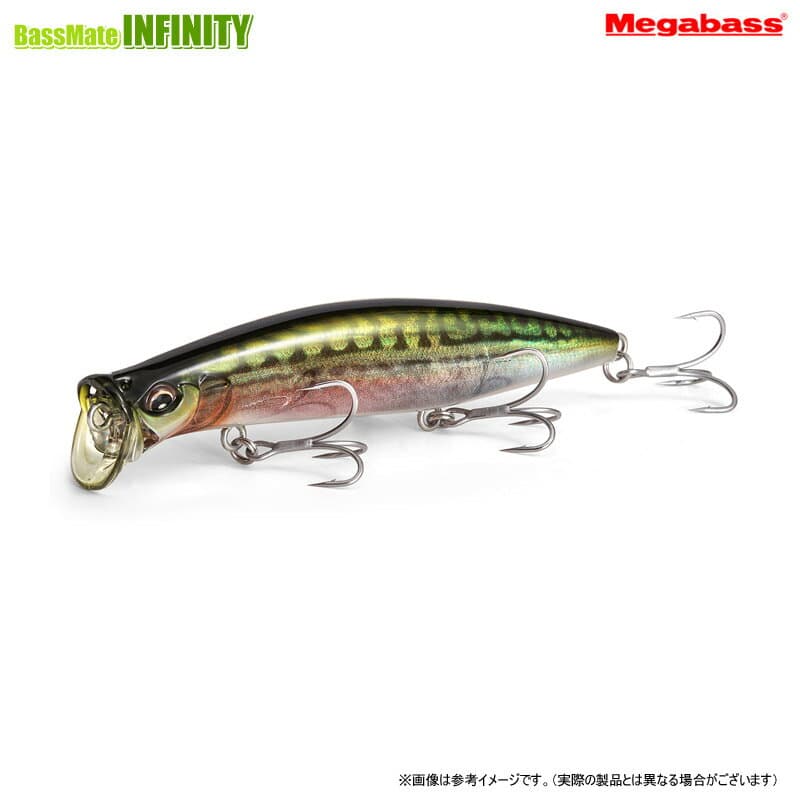 Megabass Seabass Lure Kirinji 120 M Anchovy RB