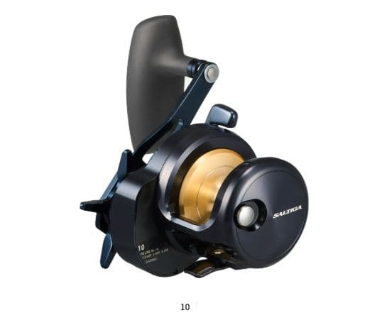 Daiwa 25 Saltiga 10 Right