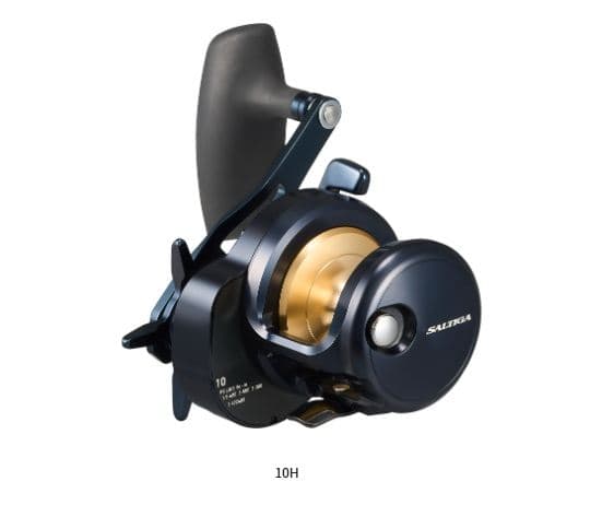 Daiwa 25 Saltiga 10 H Right
