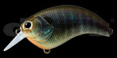 Deps Ivoke 2.0 #10 Real Bluegill