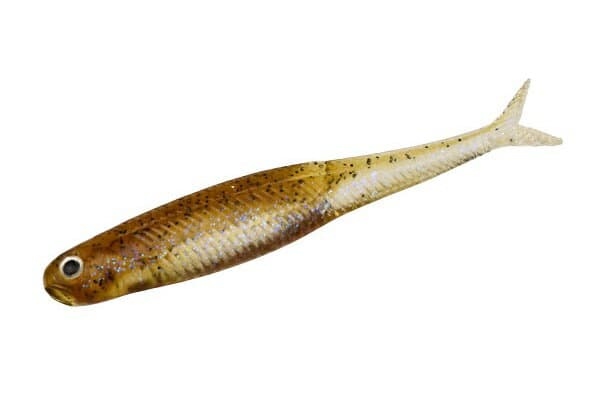 Dstyle Worm Virola 2.8inch Green Pumpkin fish