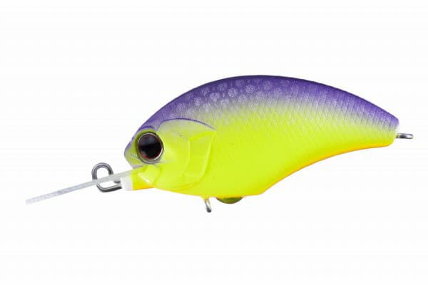 OSP Tiny Blitz-MR PP81 Chart Purple Back