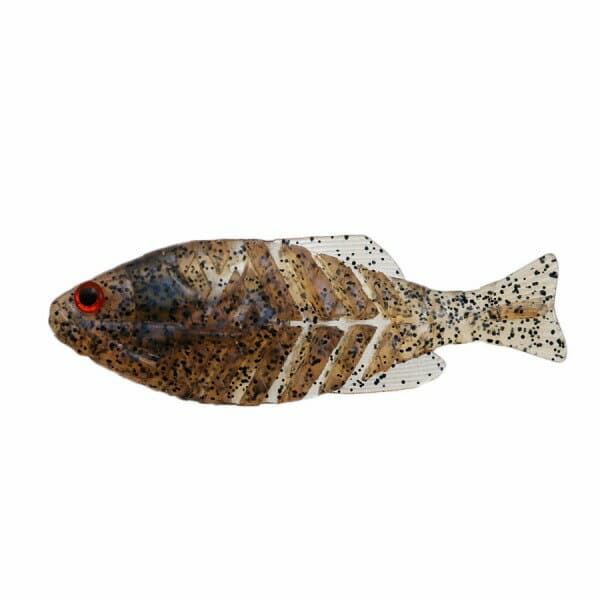 Issei Gil Flat Jr. #41 Young Bluegill