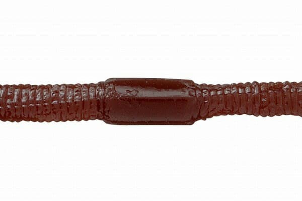 Jackall Flick Shake 4.8 inch Cora