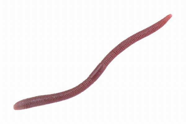 Jackall Flick Shake 5.8 inch Doba Mimizu