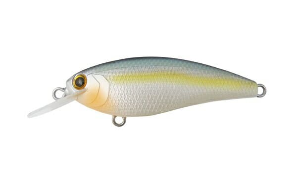 Bottomup Reazzy Appeal Plus Sexy Shad II