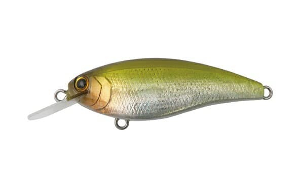 Bottomup Reazzy Appeal Plus Champagne Shad