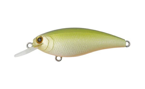 Bottomup Reazzy Appeal Plus K.O. Lime Shad