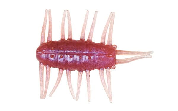 Dstyle SVSB Jr. 1.5 inch Sakura Bug
