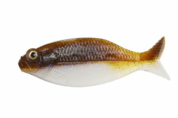 Dstyle Worm Gilluula 3.5inch Green Pumpkin fish