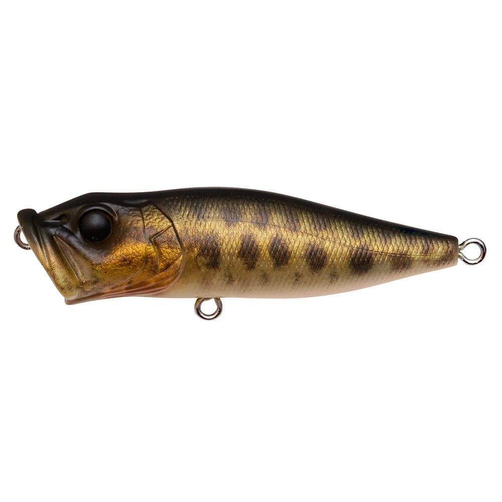 Megabass POP-X FA Baby Snakehead