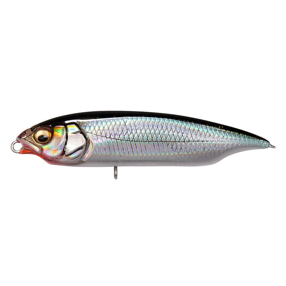 Megabass Karashi SW FS LZ Togoro Sardine
